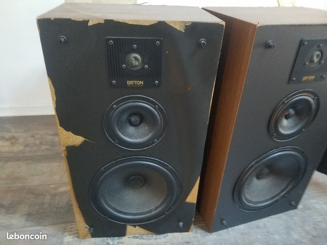 Enceinte celetion ditton (image 2)