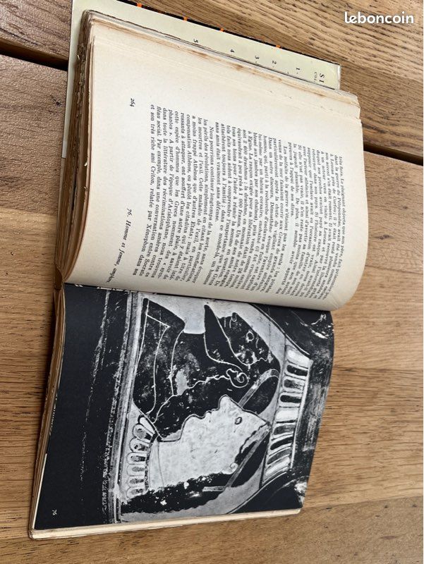 Les grecs autoportrait d’une civilisation ( Arthaud ) (image 10)