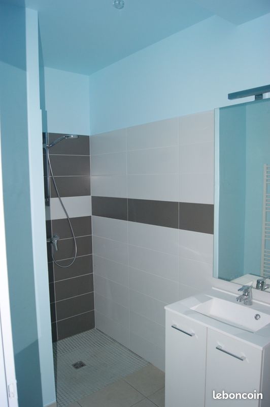 Bel appartement T1 de 33m2 (image 3)