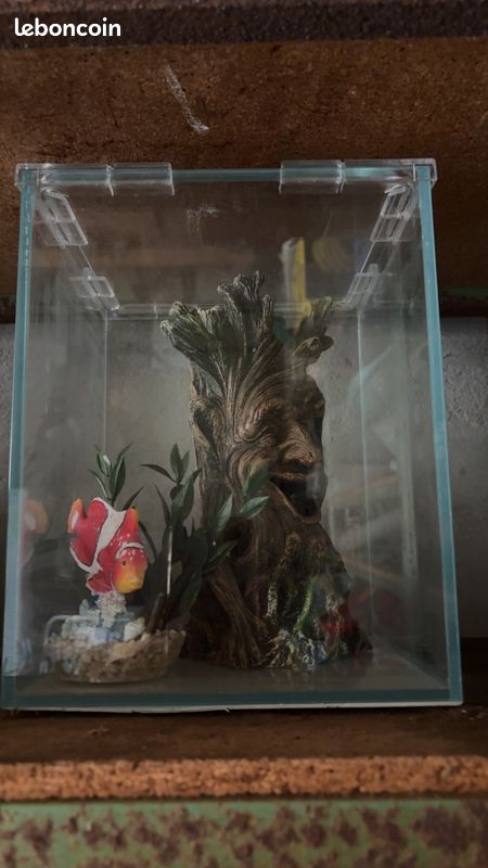 Aquarium (image 3)