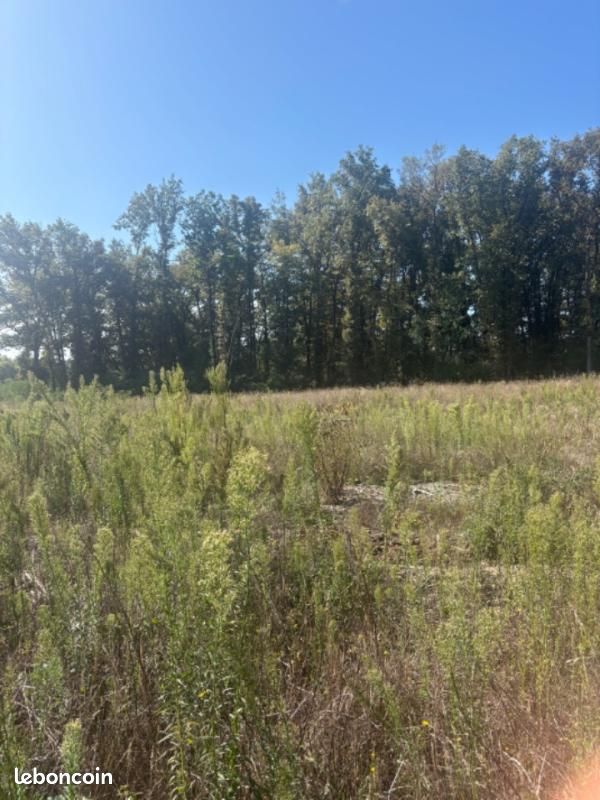 Terrain 850 m² Galgon · 88 000 €