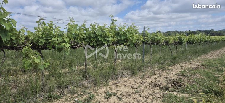 Terrain 190000 m² Cambieure