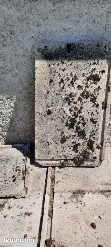 Dalles beton (image 2)