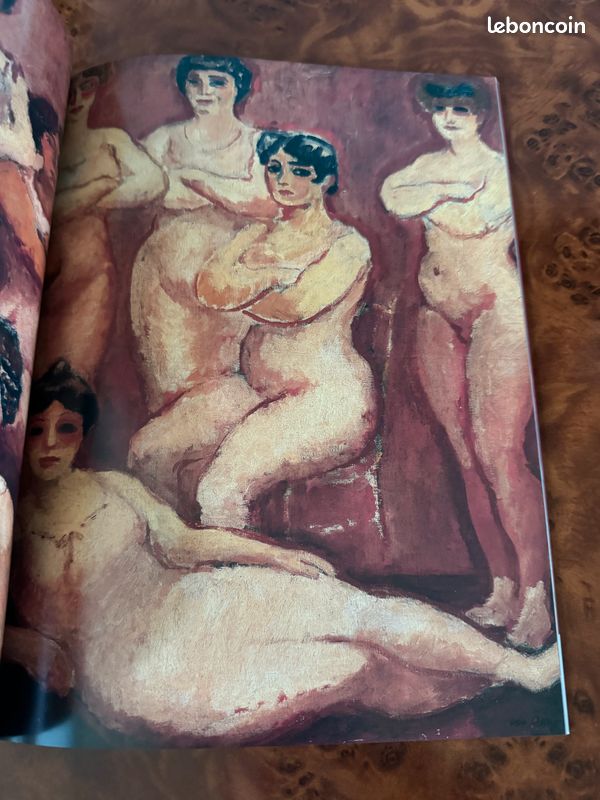 Livre d’art Van Dongen Fauve Anarchiste Mondain (image 4)