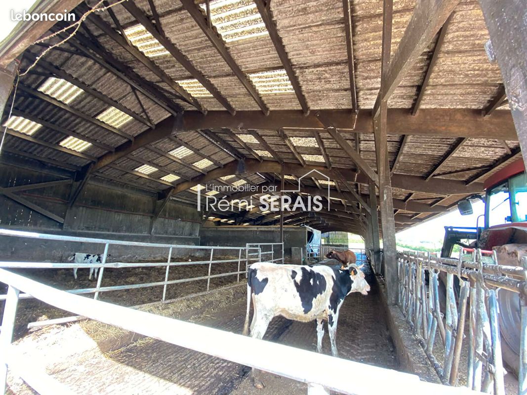 Local 4490 m² DIALAN SUR CHAINE (image 2)