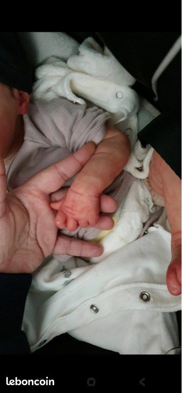 Reborn (Bonnie Brown) Twin A (image 4)
