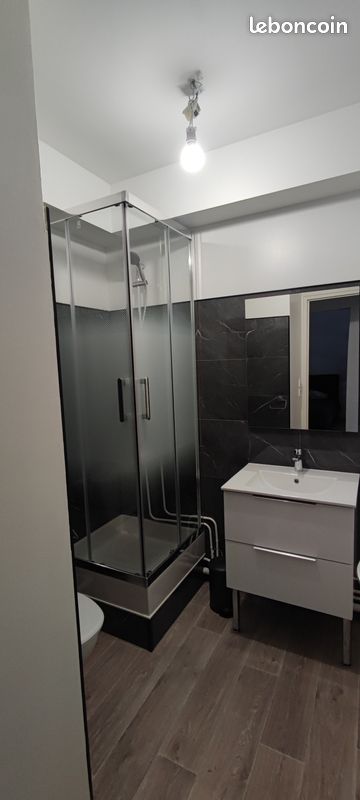 Loue T1 bis - Limoges 87000 Vanteaux-CHU-Mas Bouyol-Puy Rodas (image principale 2)