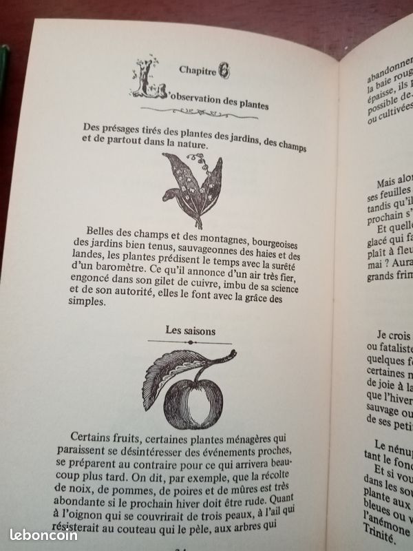 Livre Prévoir le temps (image 5)