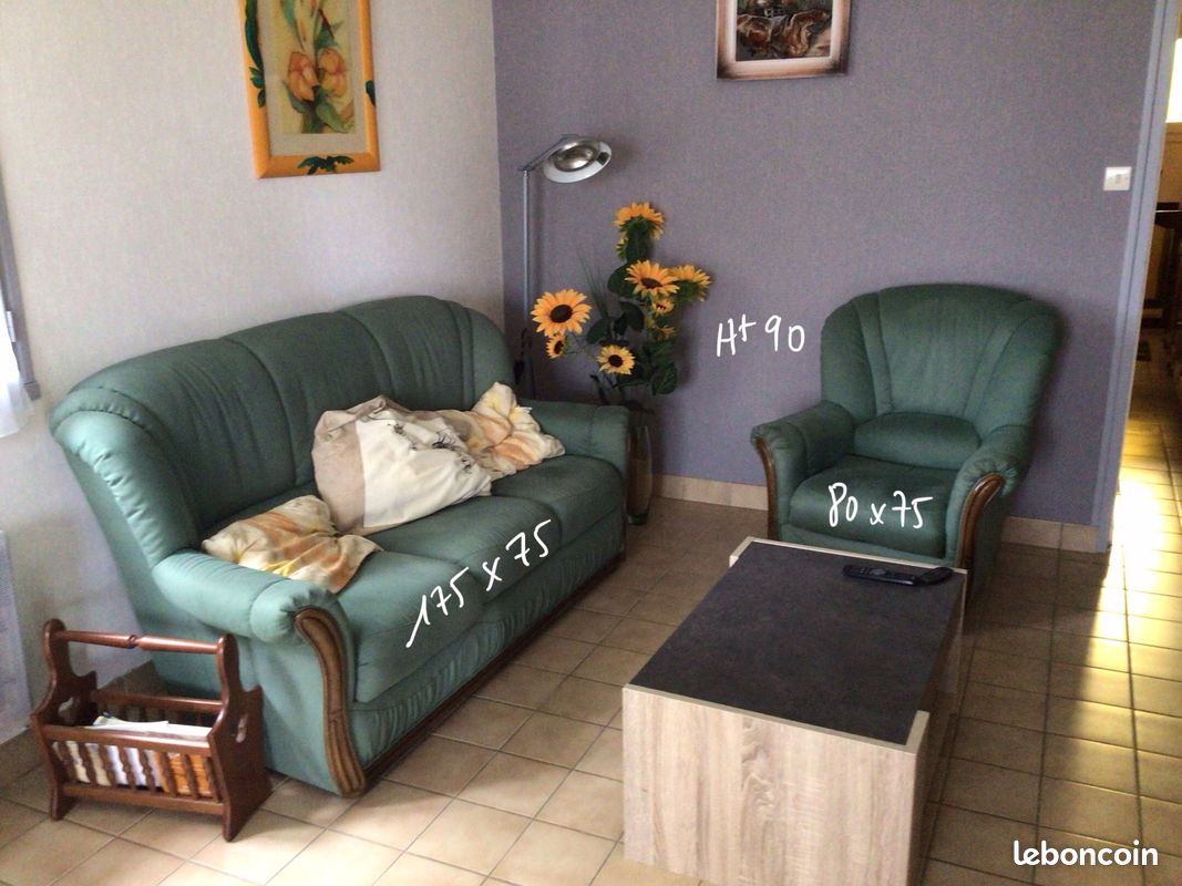 Salon canapé + fauteuil (image 1)