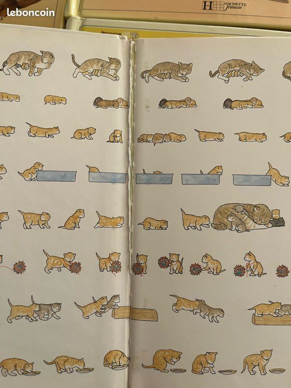 Lot livres animaux hachette jeunesse (image 2)