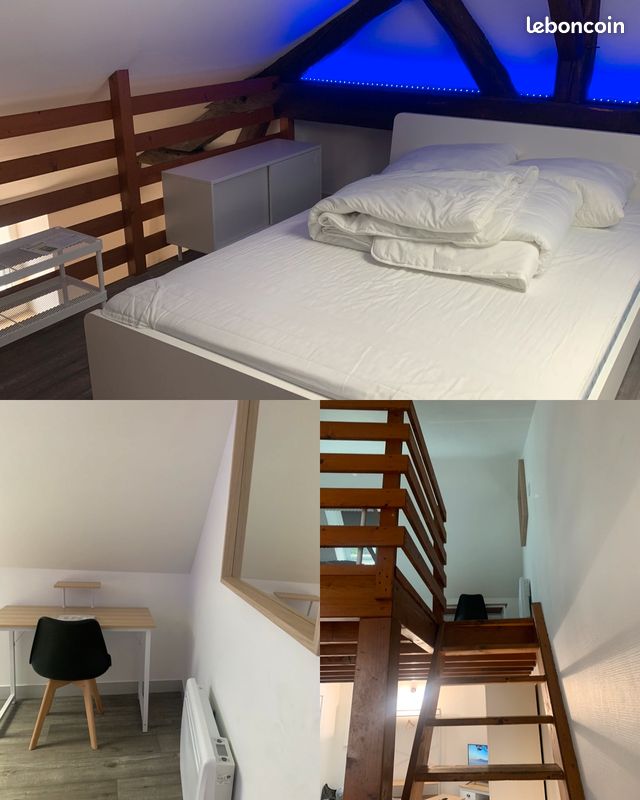 🏠Magnifique Duplex de 42 m2 aux portes du centre ville et gare 🏠 - Poitiers 86000 (image principale 1)