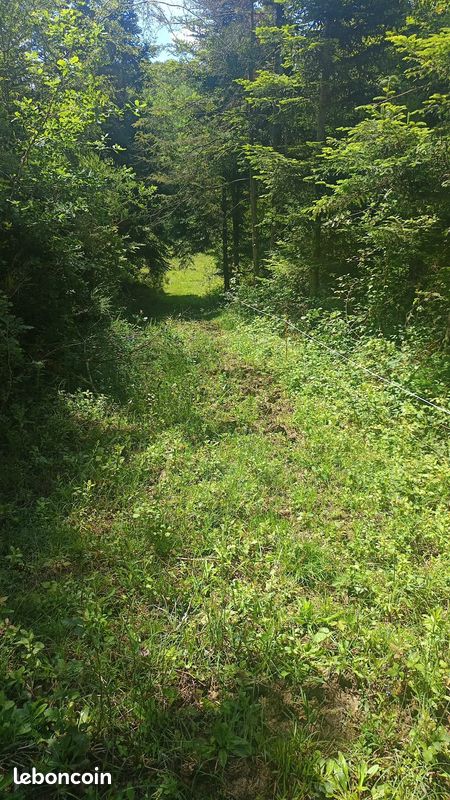 Terrain 28000m2 (image 2)