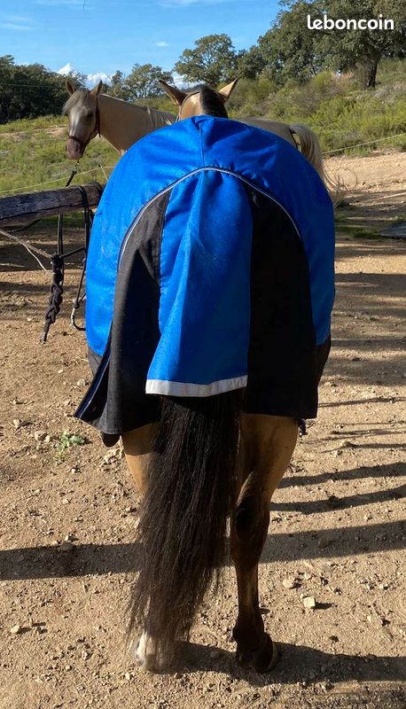 Couverture cheval (image 2)