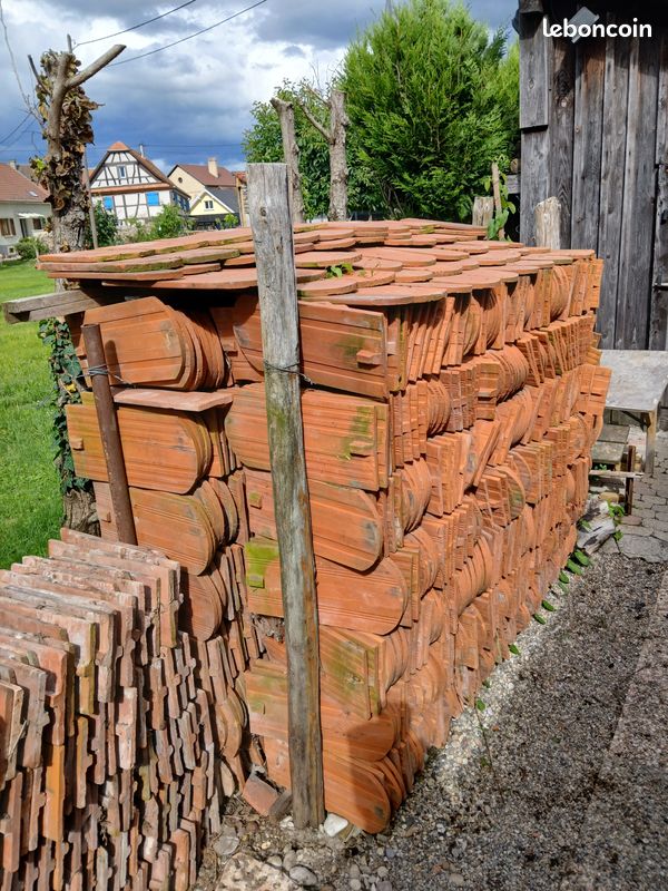 Tuiles plates Bieberschwanz (image 2)