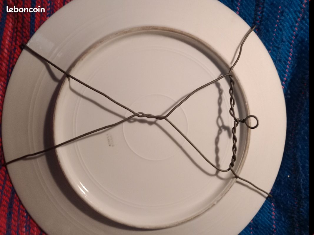 Superbes assiettes fleurie Limoges (image 16)