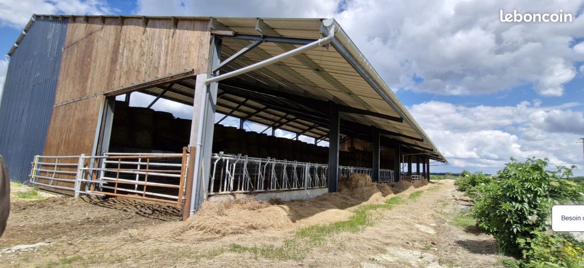 Terrain agricole avec hangar (image 2)