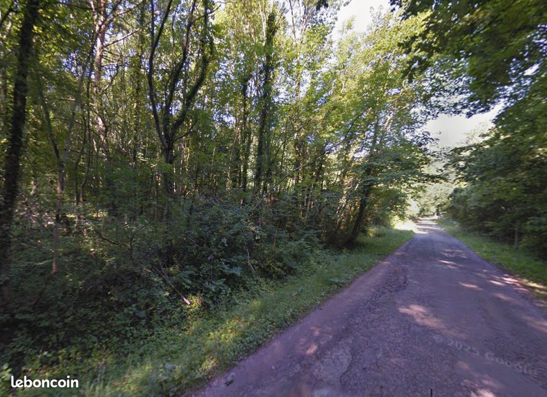 Beau Terrain de loisirs boisé · à Ars-sur-Moselle · 11 900 €