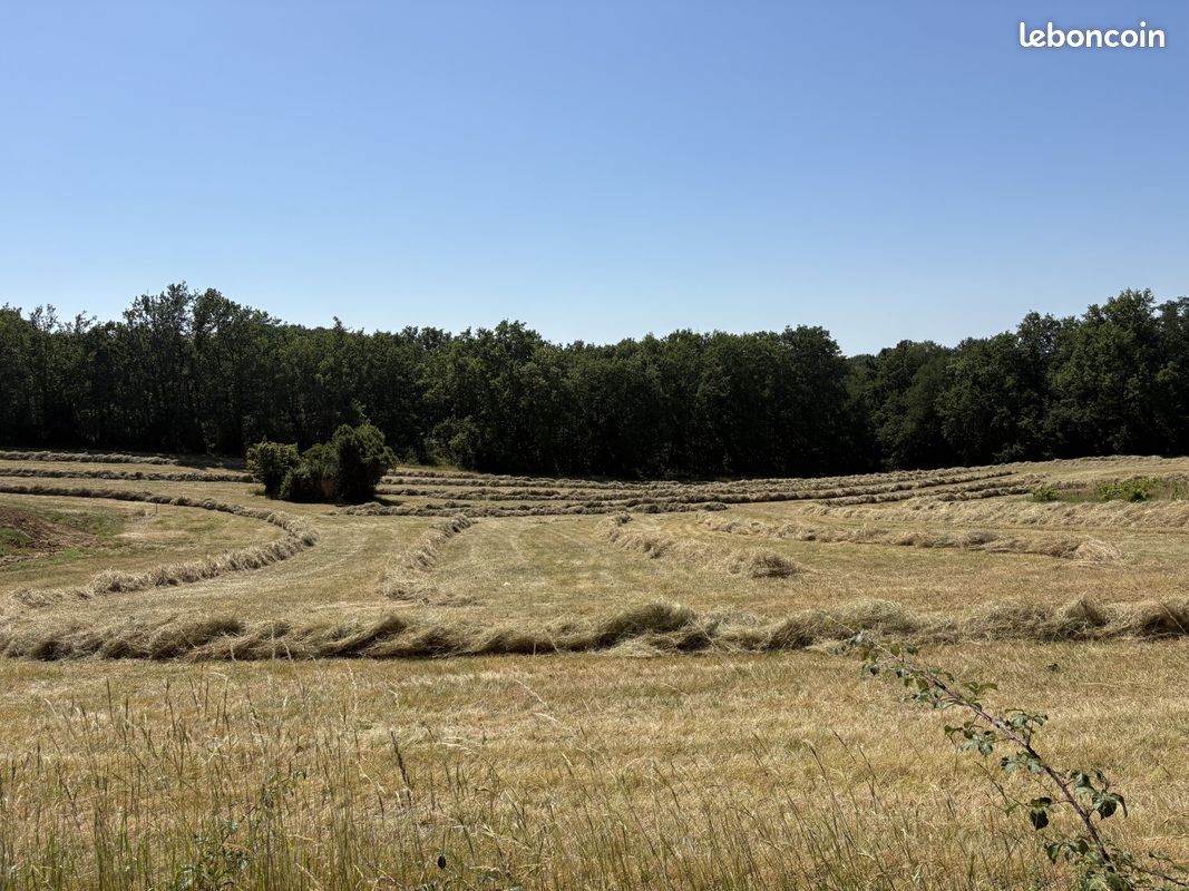 Terrain 1514 m² · à Lafrançaise · 1 514 m² · 54 900 €