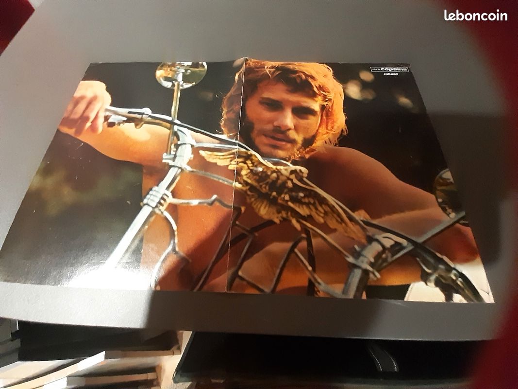 Johnny Hallyday (image 4)