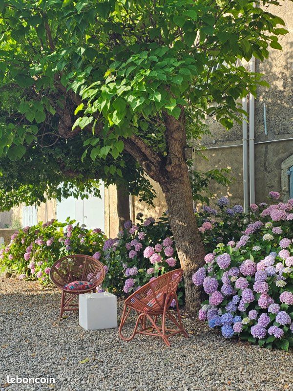 Maison 5 pièces 300 m² · à Pézenas · 300 m² · 550 000 €