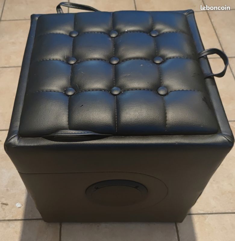 Pouf enceinte (image 2)