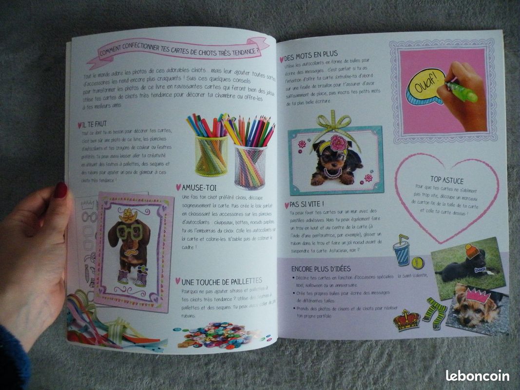 Livre-jeu Chiots très tendance Mes cartes à décorer (image 3)