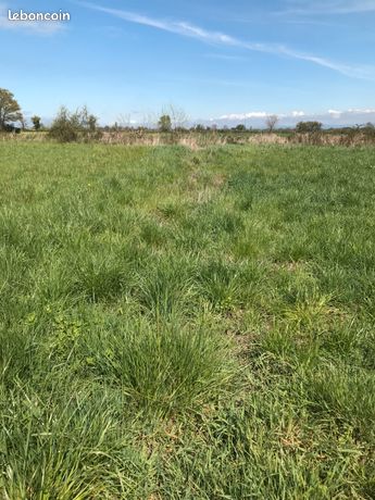 Recherche terrain agricole