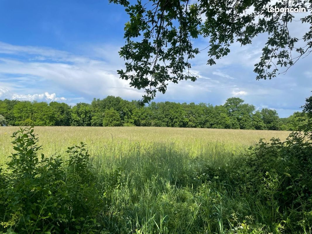 Terrain 1017 m² · à Ludon-Médoc · 175 000 €
