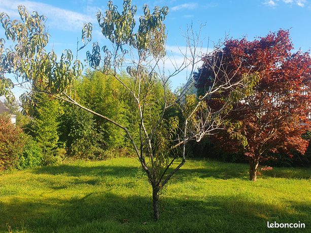 Terrain 557 m² AURAY