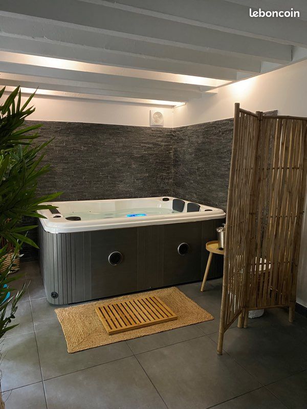 Duplex en location avec jacuzzi (image 2)