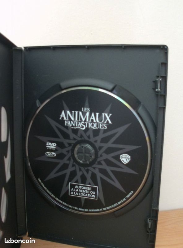 Les animaux fantastiques DVD (image 2)