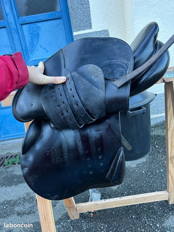 Selle de dressage Bruno Delgrange (969417) | Acheter cette selle d