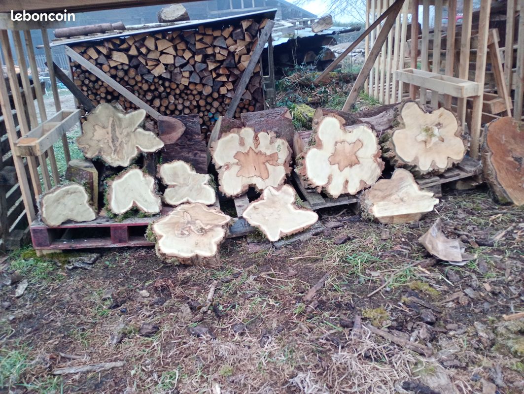 Bois pour sculpture ou tournage - Aulne, Noyer noir, bois échauffés et autres (image 13)