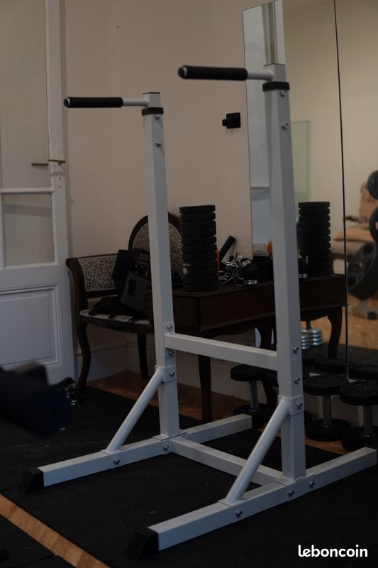 Station Dips Et Abdos Gorilla Sports - Support 150kg - Barres Parallèles Fitness Maison