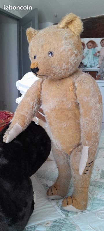 Rare et très bel ours ancien allemand Petz (image 13)