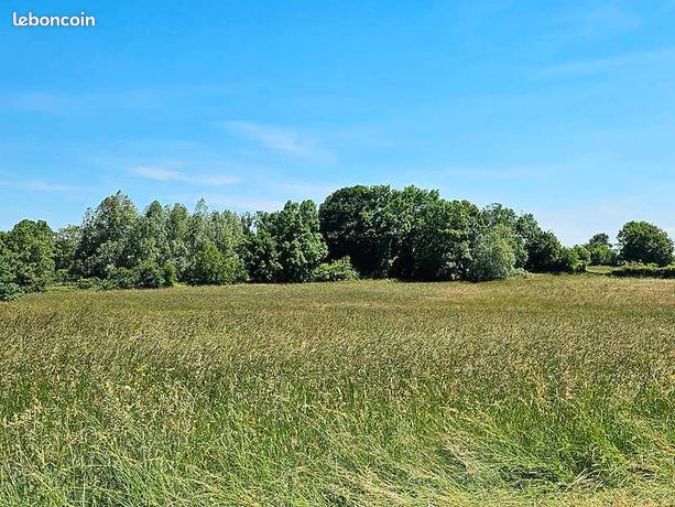 Terrain 550 m² Dommartin