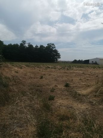 Terrain constructible