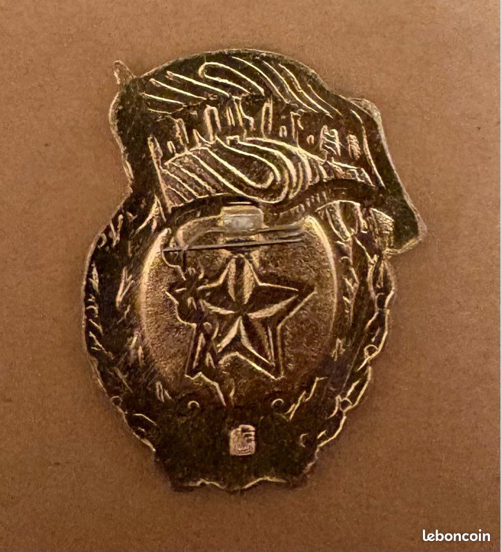 Pin's émaillé Roumanie - Centrale Électrique Paroseni - Vintage 1980