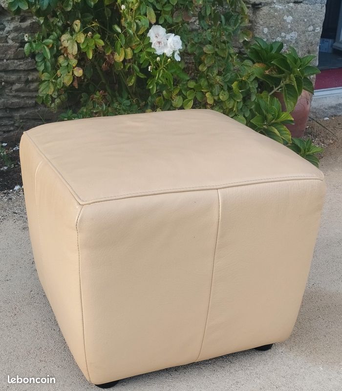 Pouf en cuir véritable (image 2)