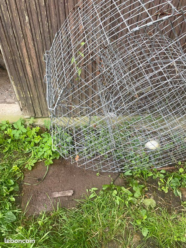 Cage à pie (image 3)