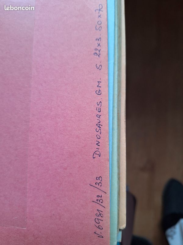 Sérigraphie dinosaures (image 1)