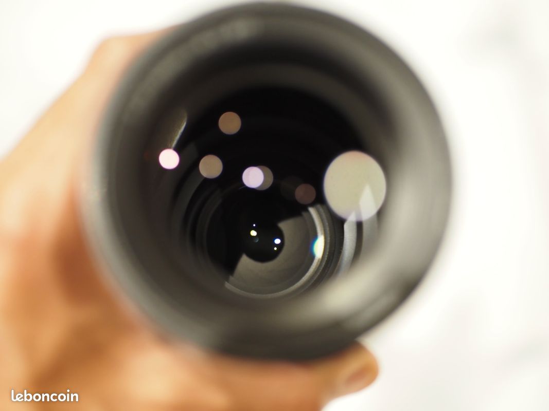 Nikon Nikkor Z 24-120mm F4 S (image 10)