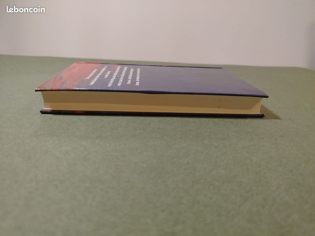 Karma und Reinkarnation Gisela Weidner Buch (image 3)