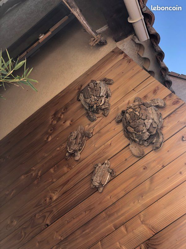 Tortue de mer en bois flotté (image 3)