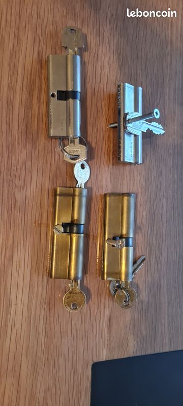 Cylindres de porte (image 3)