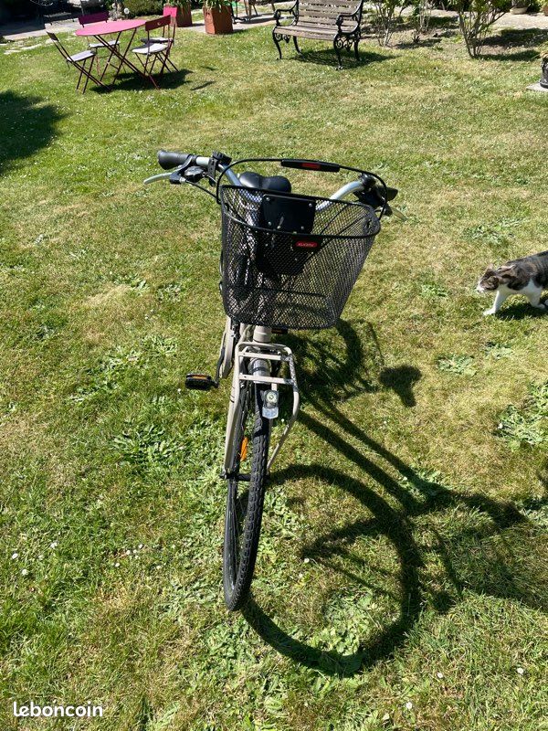 Vélo Montana Lunapiena STI beige + Panier avant Klickfix et antivol (image 10)