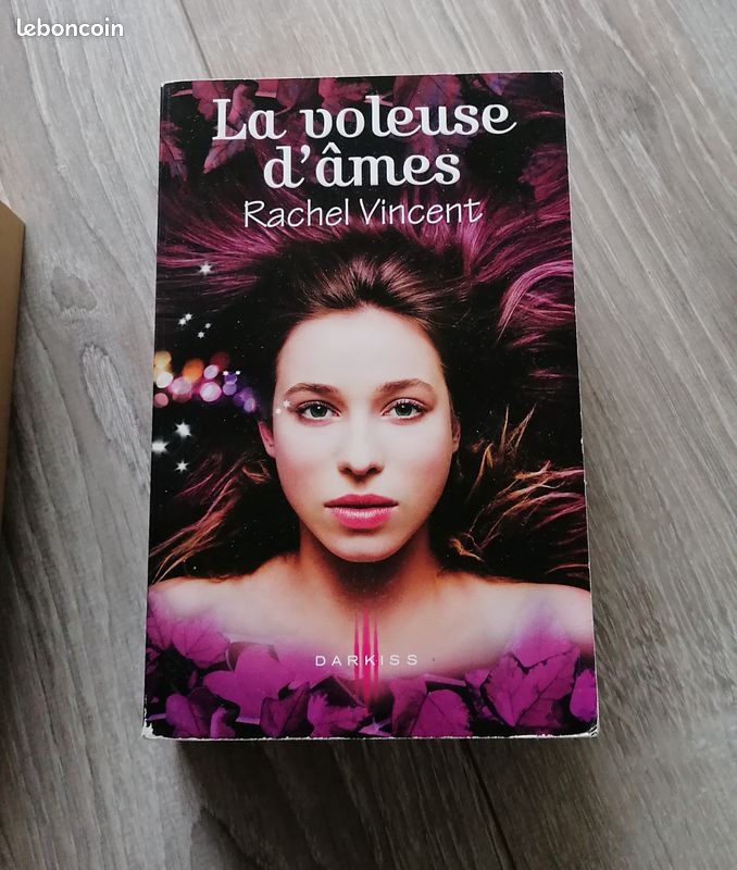 Les voleurs d'âmes Tome 1 à 4 (image 2)