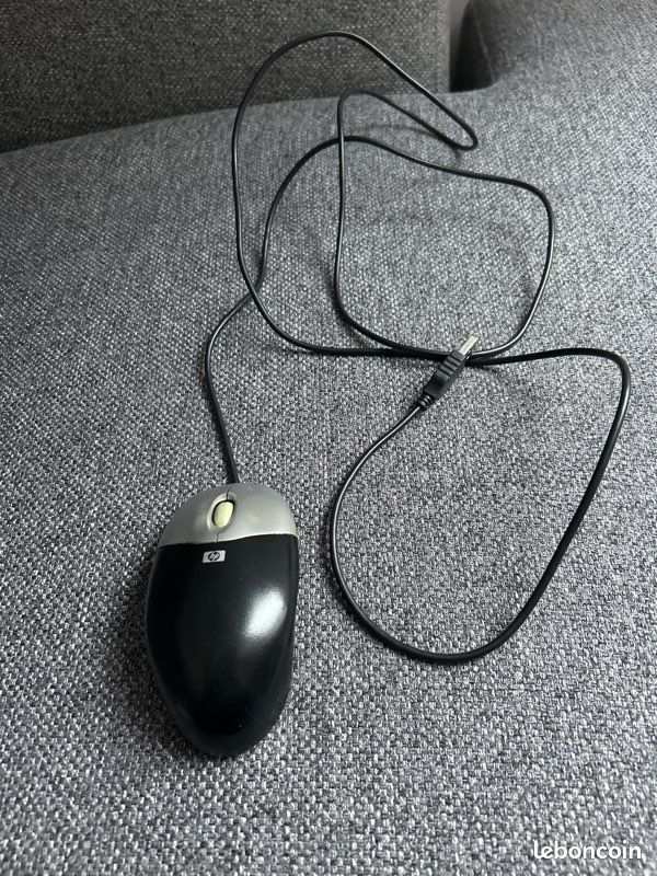 Souris (image 1)