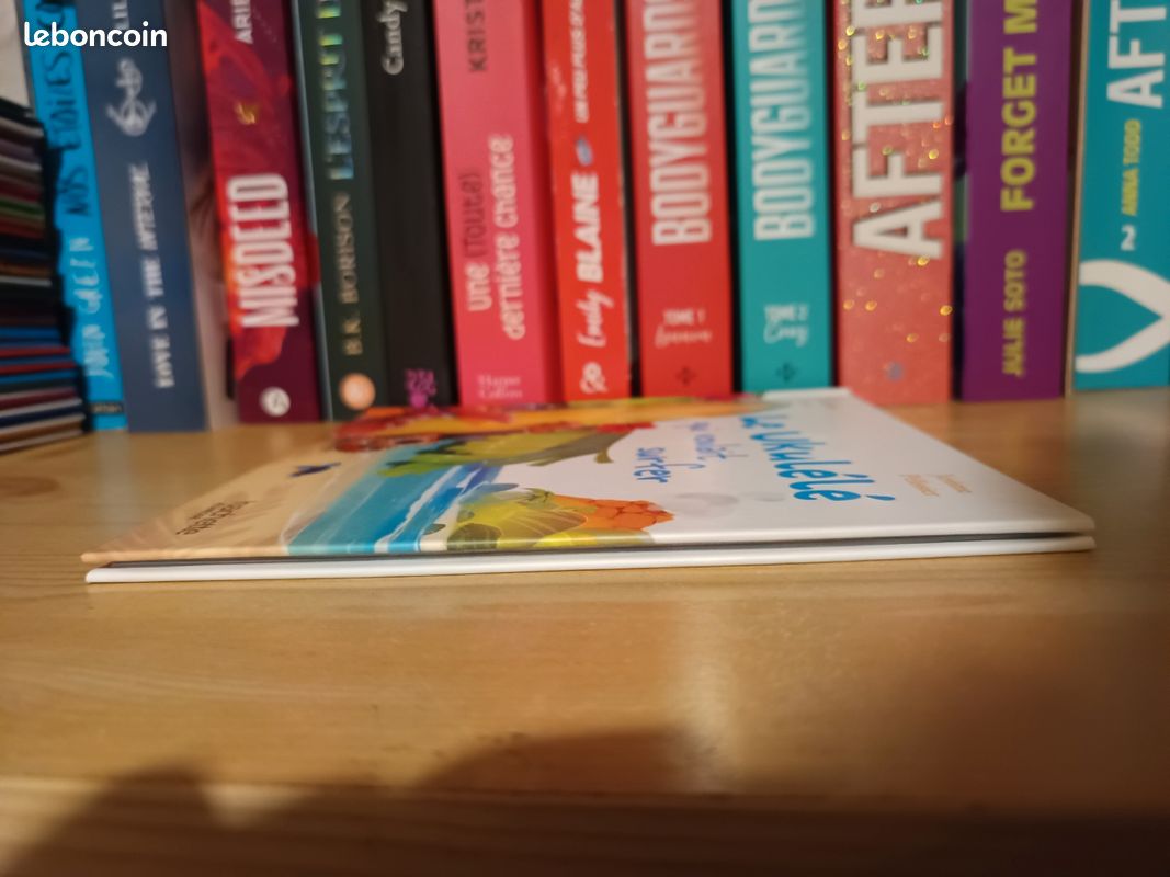 Le ukulélé qui voulait surfer (image 3)