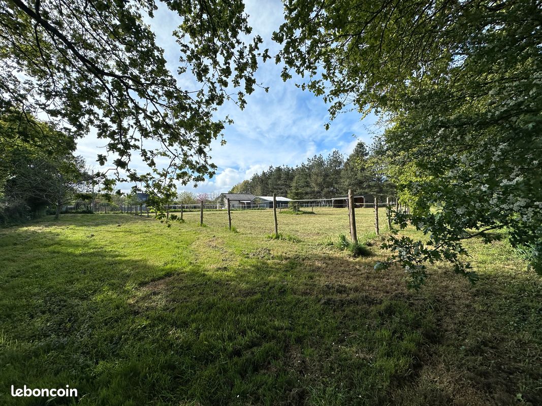 Terrain constructible viabilisé de 1200m2 avec bâtiments · à Nort-sur-Erdre · 220 000 €